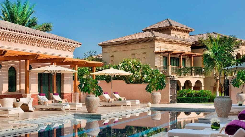 one and only the palm